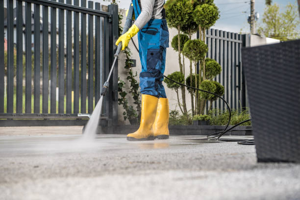 Best Affordable Power Washing  in Wamac, IL
