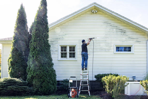Best Commercial Building Pressure Washing  in Wamac, IL